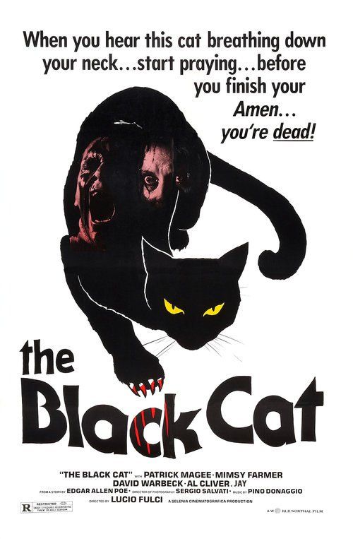 A fekete macska online film