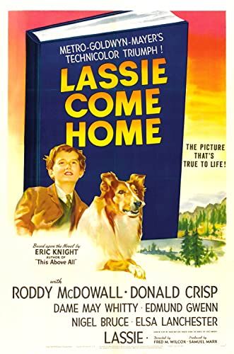 Lassie hazatér online film
