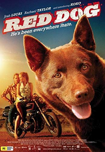 Vörös kutya online film