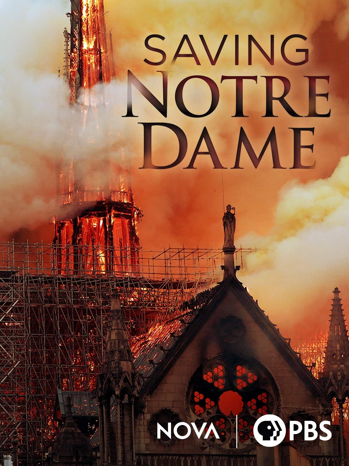 Sauver Notre-Dame online film