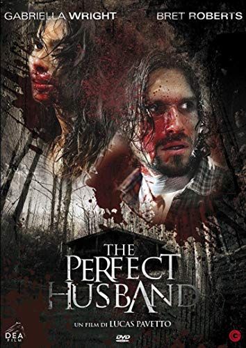 The Perfect Husband online film