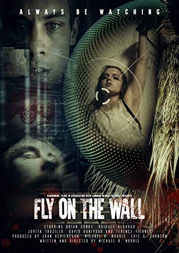 Fly on the Wall online film