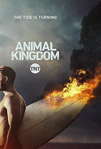 Animal Kingdom - 4. évad online film