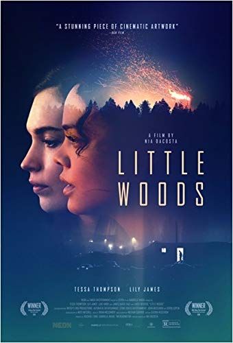 Little Woods online film