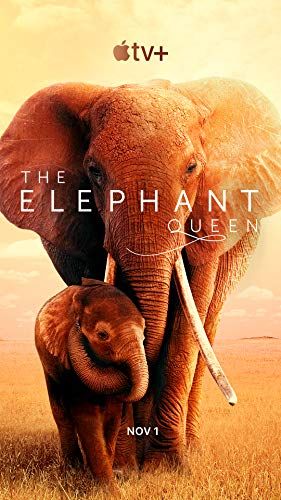 Az elefántkirálynő online film