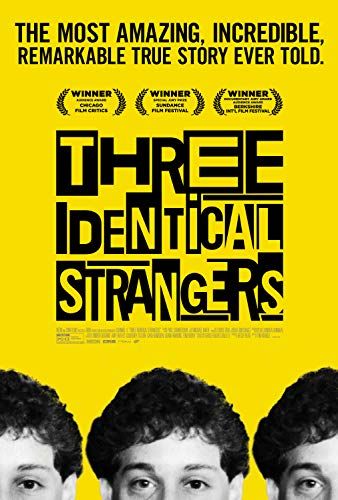 Three Identical Strangers online film