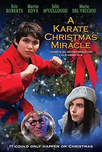 A Karate Christmas Miracle online film