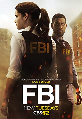 FBI - New York különleges ügynökei - 5. évad online film